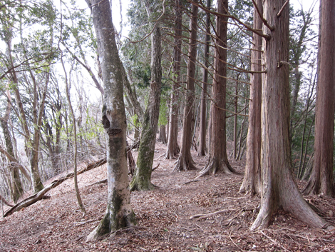 20190205hike (204)